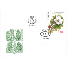 FDC 715 - Ochrana prírody: Botanická záhrada UPJŠ v Košiciach – magnólia veľkokvetá 