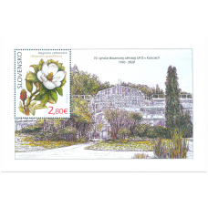 Hárček - Ochrana prírody: Botanická záhrada UPJŠ v Košiciach – magnólia veľkokvetá 